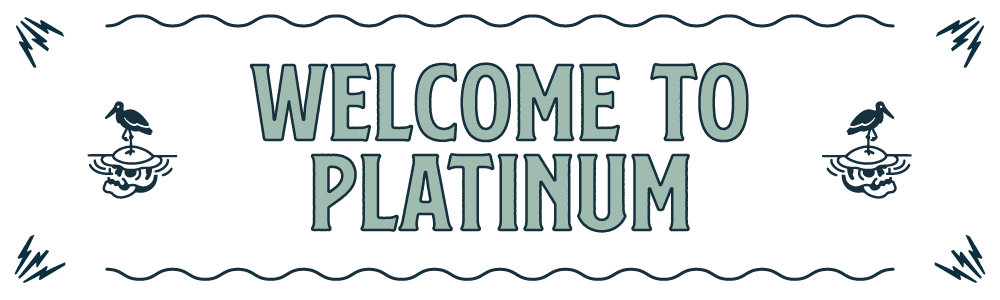HighWater-ZendeskUpdates-20250219_Platinum-Welcome.png